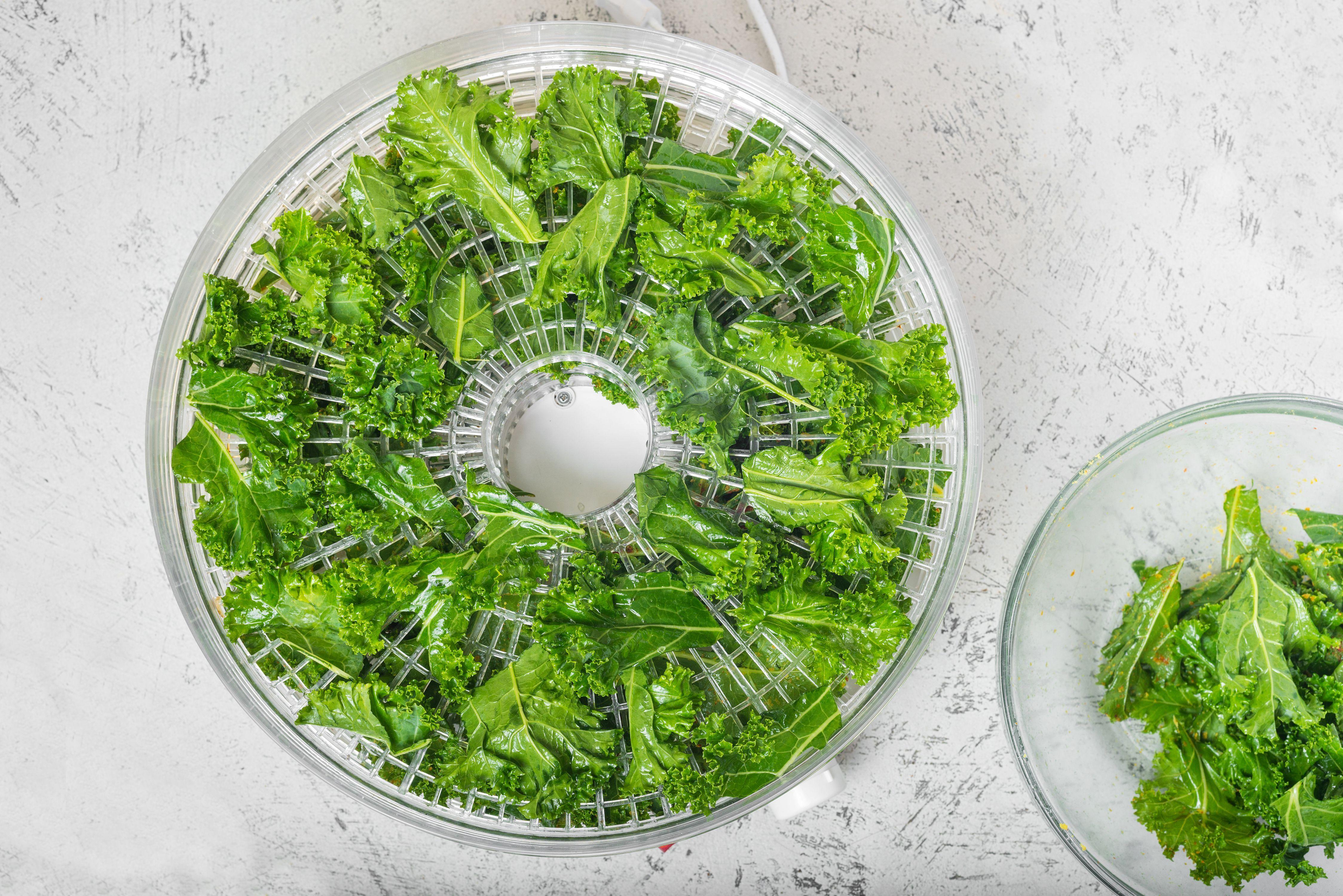 Kale Leaf Logo - Dehydrated Kale Chips Recipe