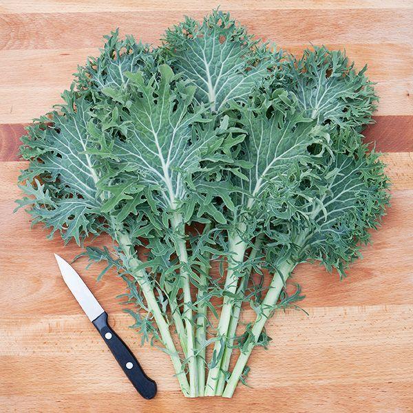 Kale Leaf Logo - Organic Non GMO Siber Frill Kale