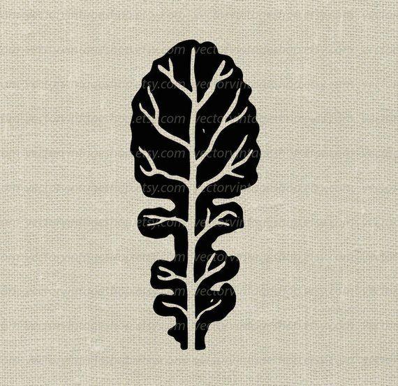 Kale Leaf Logo - Kale Silhouette Clipart Vegetable Leaves Vector Clip Art | Etsy