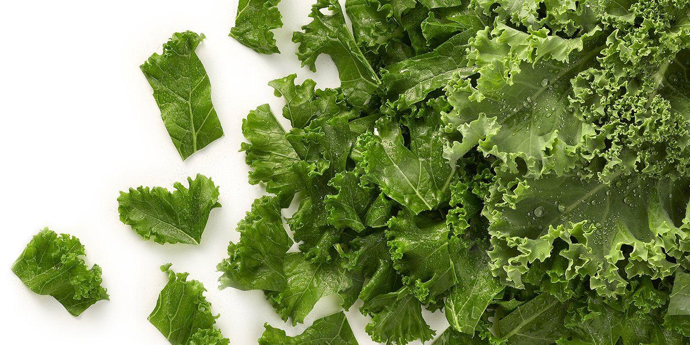 Kale Leaf Logo - Loose curly kale