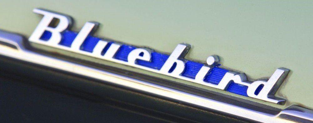 Blue Bird Emblem Logo - No Downside Datsun Bluebird Right Hand Dri