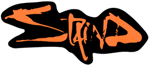 Staind Logo - 8844 Staind Orange Logo Modern Rock Nu Metal Music Band HUGE Sticker ...