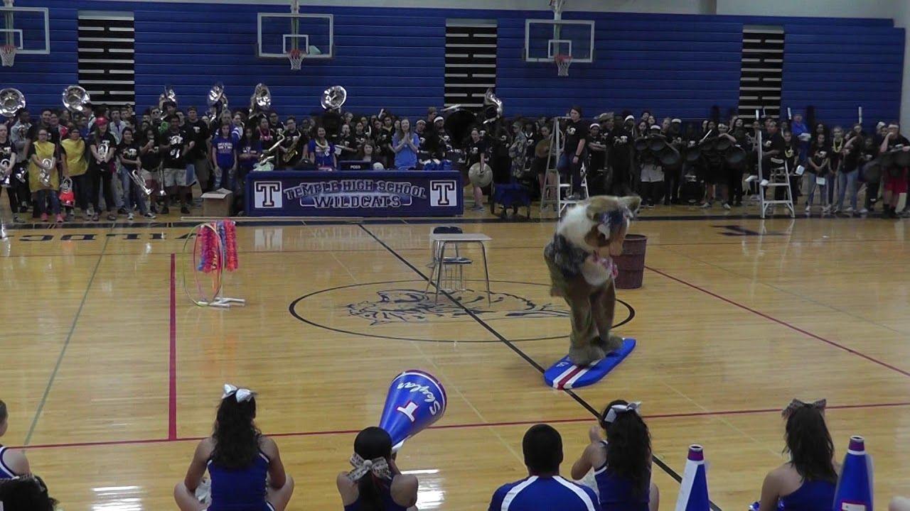 Temple High School T Logo - Temple High School - Wipe Out The Raiders Pep Rally Mascot Skit ...