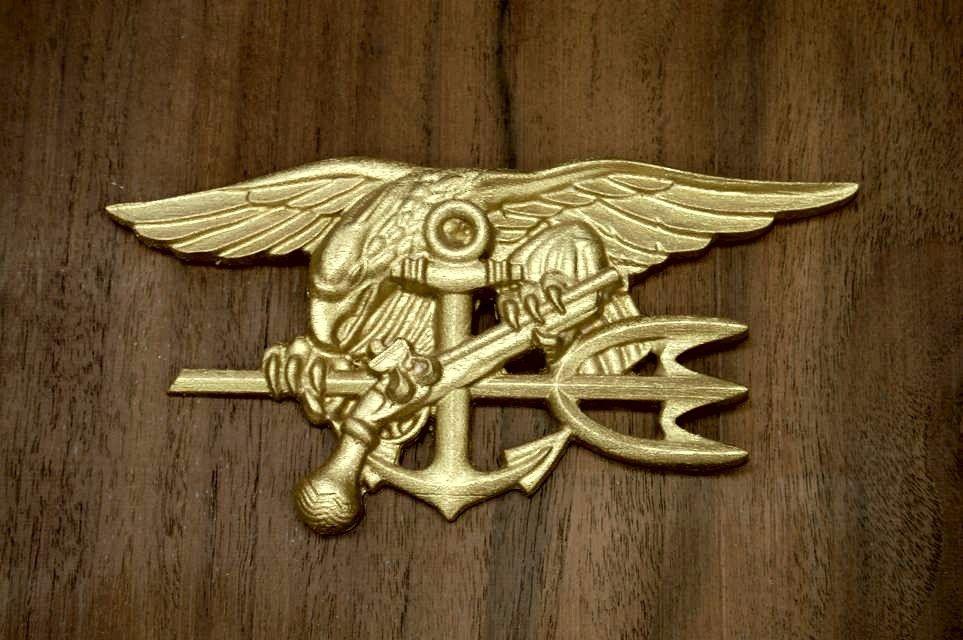 Navy Trident Logo - Beautiful Gold Navy Seal by Jim Frantz