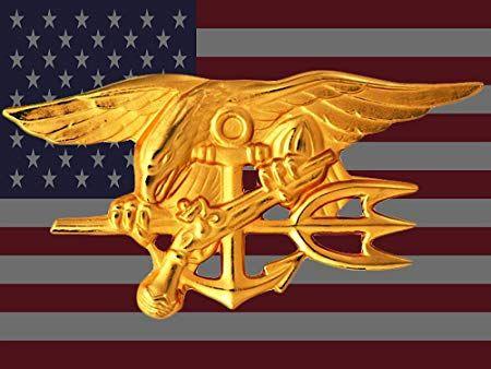 Seal Trident Logo - Navy Seal Poster Navy Seal Flag Us Flag American Flag Seal Trident