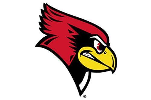 Redbirds Baseball Logo - FCHS Redbirds Baseball Team Loses In Regional Tourney 8-2