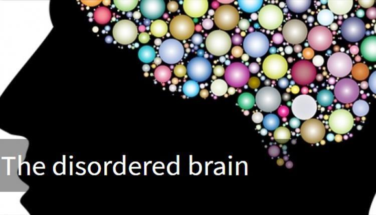 Purple Green Bank Logo - The Disordered Brain - Pint of Science Festival at The Greenbank ...