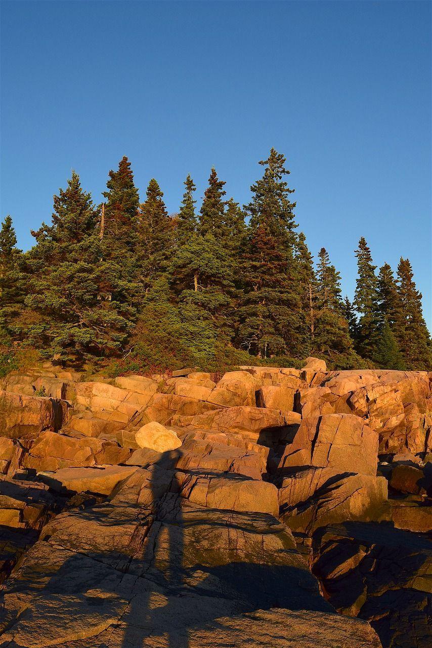 Pine Tree Maine Logo - Park, Sunset, Trees, Rocks, Pine Trees, Maine #park, #sunset, #trees ...