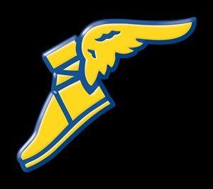 Wingfoot Logo - Goodyear's 2Q Financial Results Are Down Across the Board ...