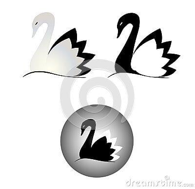 White Swan Company Logo - Black and white swan logo, symbol isolated on white background