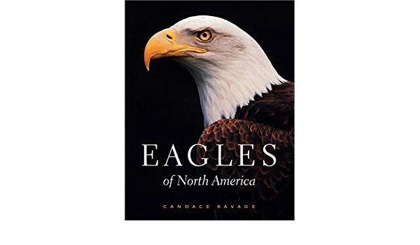 Savage Eagles Logo - Eagles of North America: Amazon.co.uk: Candace Savage: 9781550547832 ...