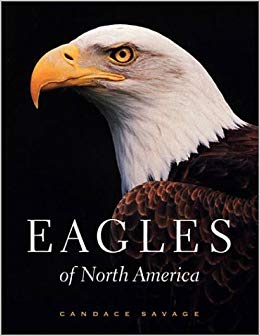 Savage Eagles Logo - Eagles Of North America: Candace Savage: 9781550547832: Amazon.com ...