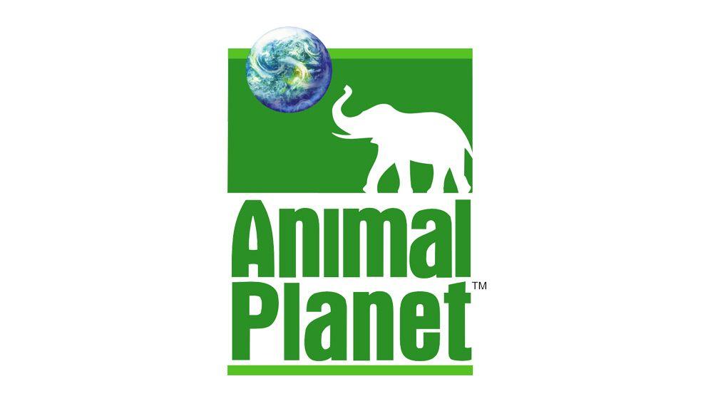 Animal Planet Logo - Animal Planet Old Logo. JUST™ Creative