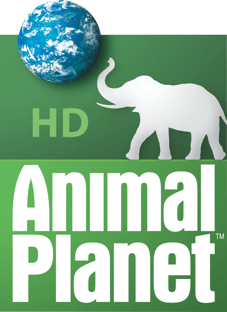 Animal Planet Logo - Animal Planet | Ideas for the House | Logos, Planet logo, Planets