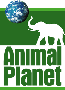 Animal Planet Logo - Animal Planet (1996) logo