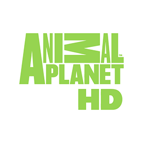 Animal Planet Logo - Animal Planet HD logo vector