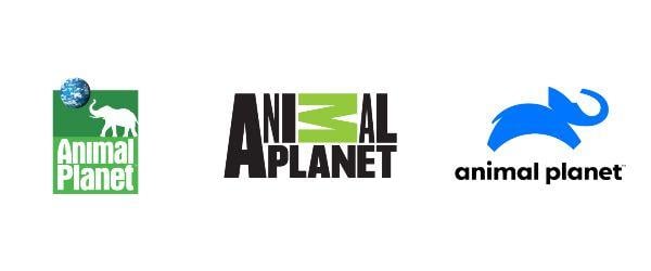 Animal Planet Logo - Animal Planet Rebrands By Introducing A Friend From The Wild, A ...