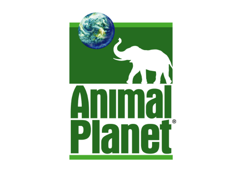 Animal Planet Logo - Animal Planet logo old