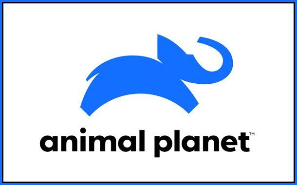 Animal Planet Logo - Animal Planet gets new brand identity with fresh look and logo ...