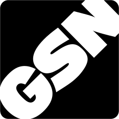 GSN Logo - File:GSN logo 2015.svg