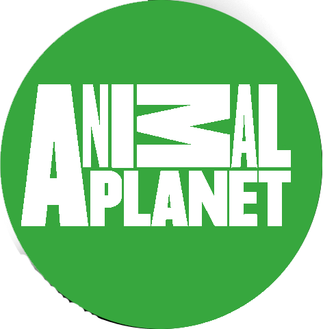 Animal Planet Logo - Image - New Animal Planet logo.png | Dream Logos Wiki | FANDOM ...