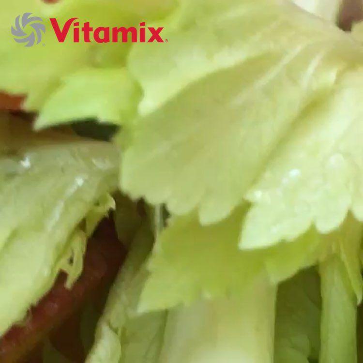 Vitamix Logo - Adforprize