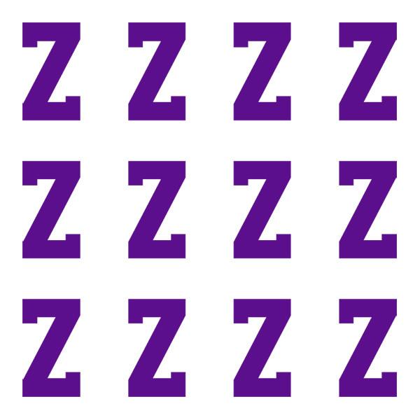 Purple Letter Z Logo - Varsity Pro Large Purple Letter Z – iD4Gear