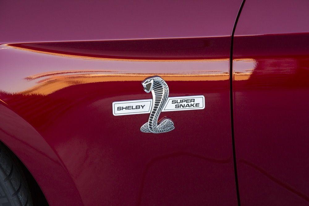 Snake Car Company Logo - Ford Mustang Shelby Super Snake