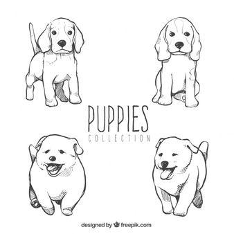 Cute Puppy Black and White Logo - Puppy Vectors, Photos and PSD files | Free Download