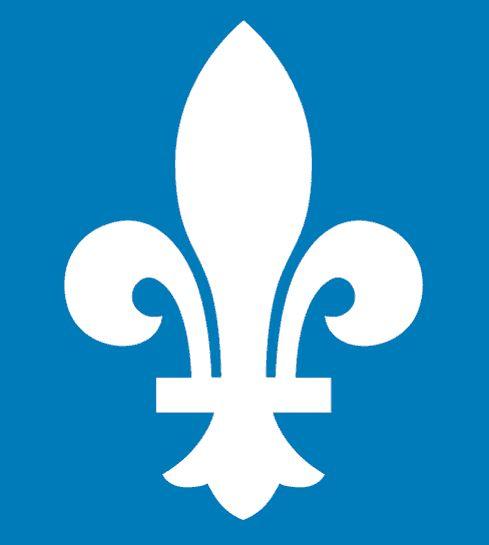 Light Blue and White Logo - Quebec Nordiques Alternate Logo (1980) - A white fleur-de-l