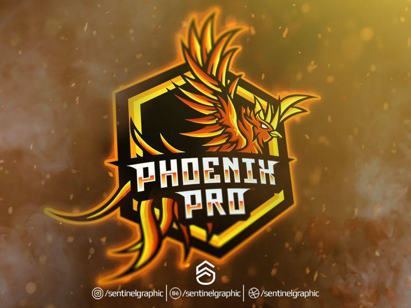 Bird Mascot Logo - Bird Esport Logo. Phoenix Mascot Logo Sport