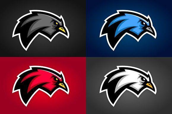 Bird Mascot Logo - Bird Sports Graphics Graphic Objects Creative Market