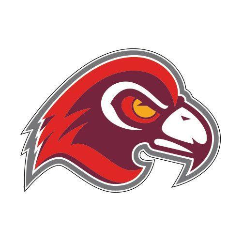 Fairmont State University Logo - Fairmont State University Fighting Falcons, NCAA Division II