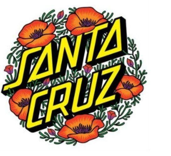Cool Santa Cruz Logo - Santa cruz logo. Aesthetic. Santa cruz, Santa cruz