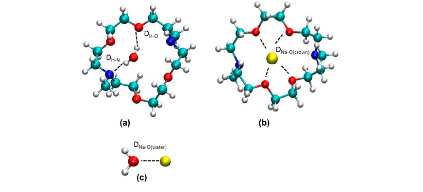 Red and Yellow B with Crown Logo - Illustration Of (a) Diaza Crown Water (b) Diaza Crown Na + And (c