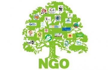 Non-Governmental Organizations Logo - The Interactions between the Local State and Non-Governmental ...