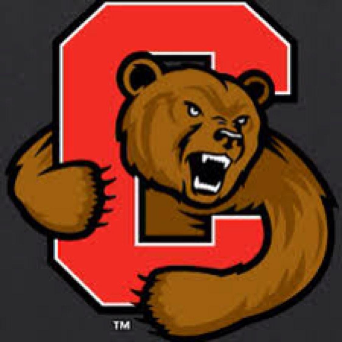 Cornell University Football Logo - Cornell University by Calista Asaro