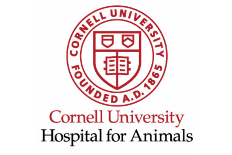 Cornell University Football Logo - Perks & Discounts - Cornell University Division of Human Resources