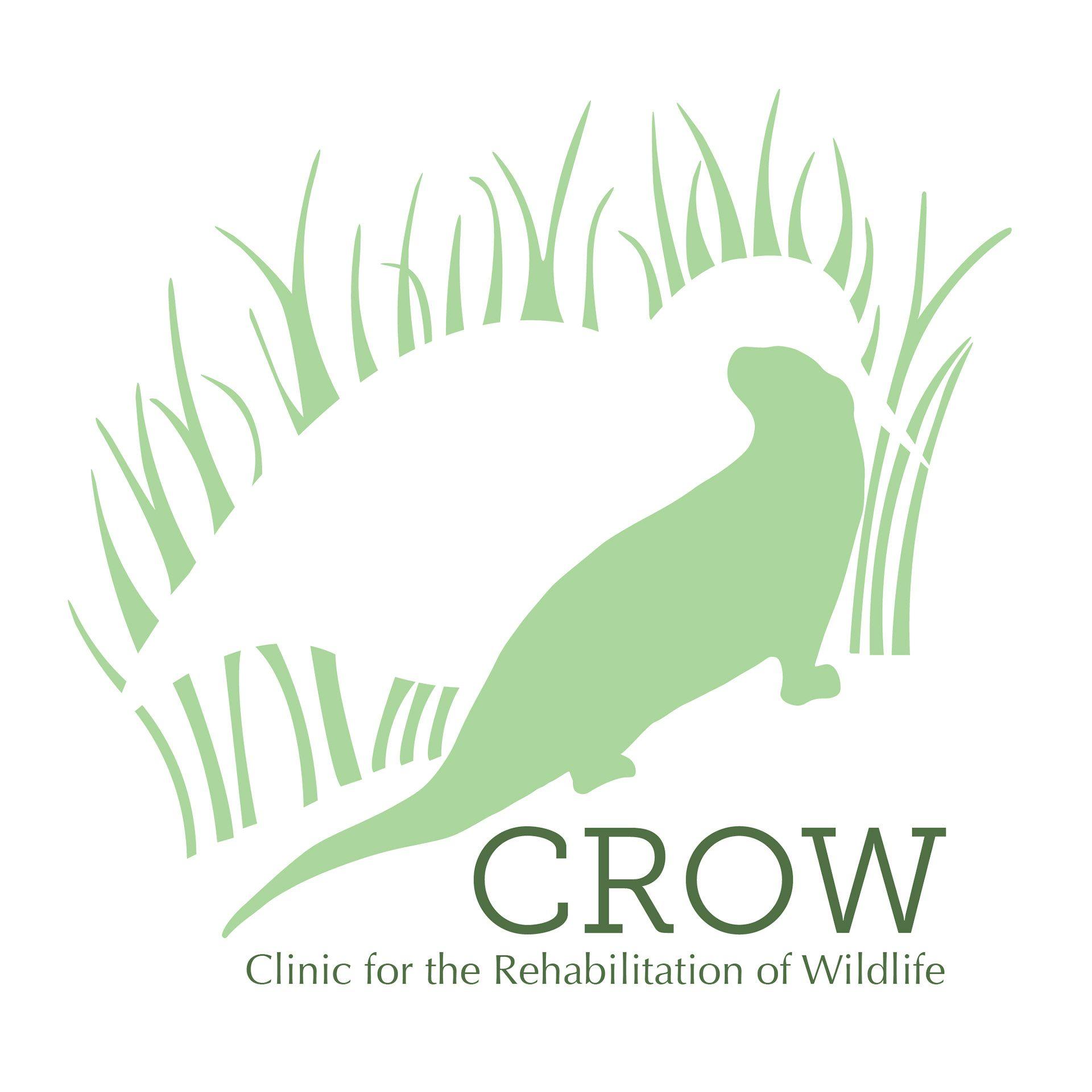 Green Crow Logo - Jami Frosell - CROW Logo