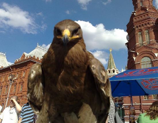 Eagle in Red Square Logo - The Yastreb Goshka on a Red Square - Picture of Moscow, Central ...