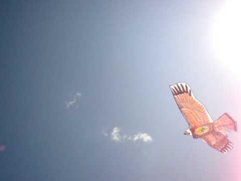 Eagle in Red Square Logo - Eagle Kite above the Red Square - YouTube