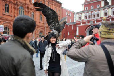 Eagle in Red Square Logo - red square image