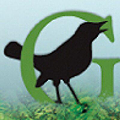 Green Crow Logo - Green Bird (@greenbirdhouse) | Twitter