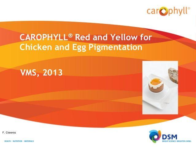 Red and Yellow Chicken Logo - Chicken & Egg Pigmentation with CAROPHYLL®