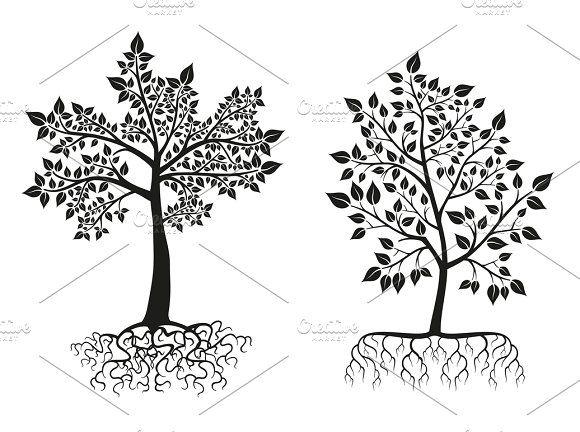 Black and White Tree with Roots Logo - Black trees and roots silhouettes ~ Illustrations ~ Creative Market