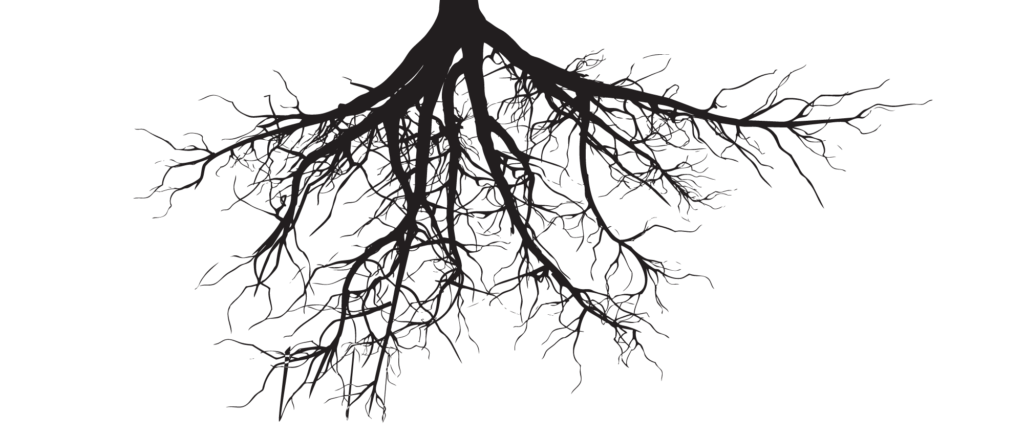 Black and White Tree with Roots Logo - Tree clipart library roots - RR collections