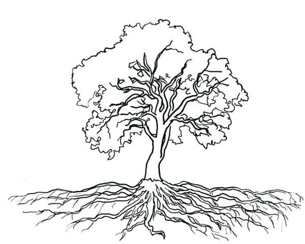 Black and White Tree with Roots Logo - Black And White Clip Art Tree Tree With Roots Black And White Free ...