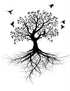 Black and White Tree with Roots Logo - Black and white tree silhouette with roots - VectorStock | Trees ...