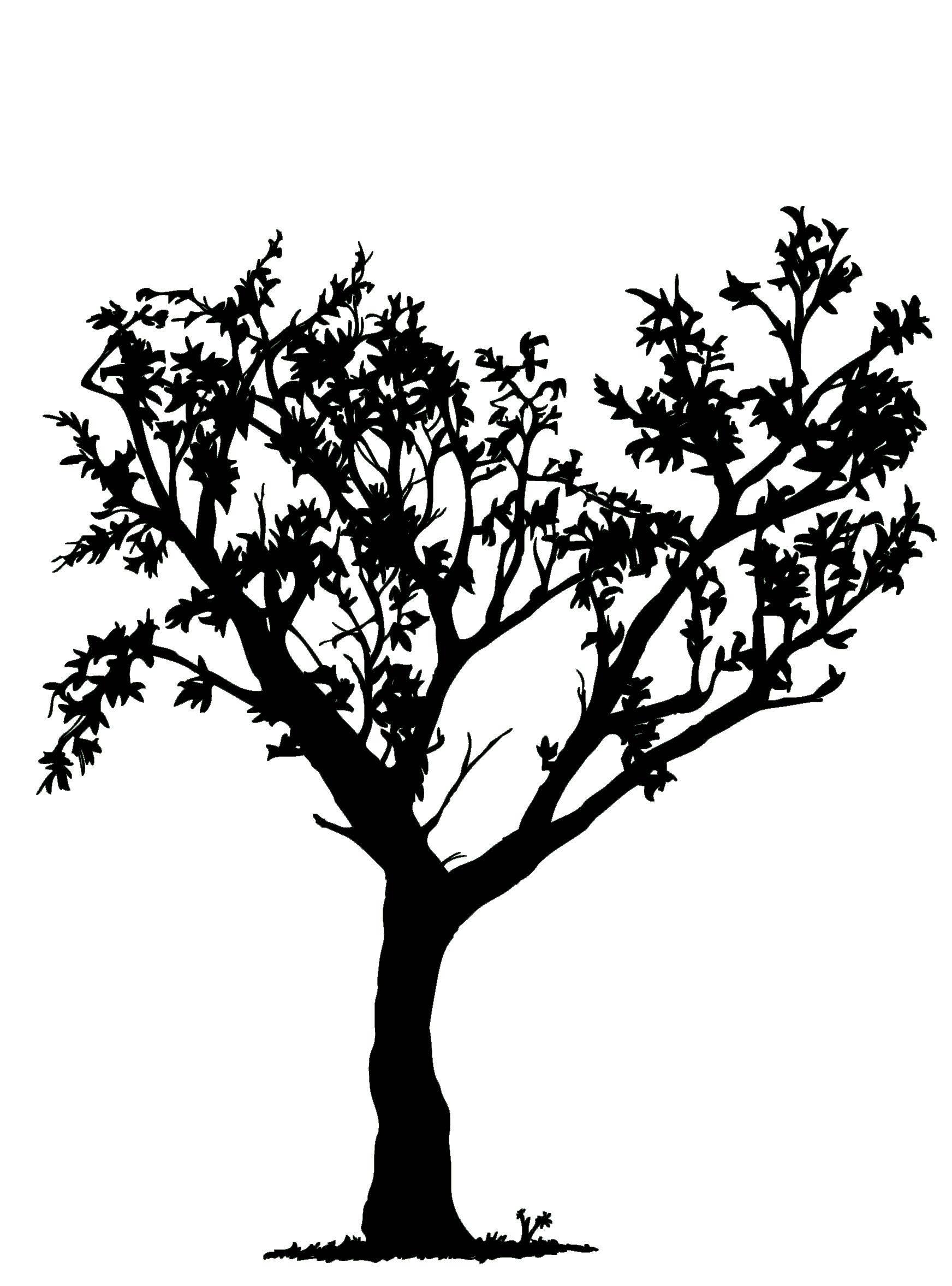Black and White Tree with Roots Logo - Tree Drawings Black And White Gallery (60+ images)