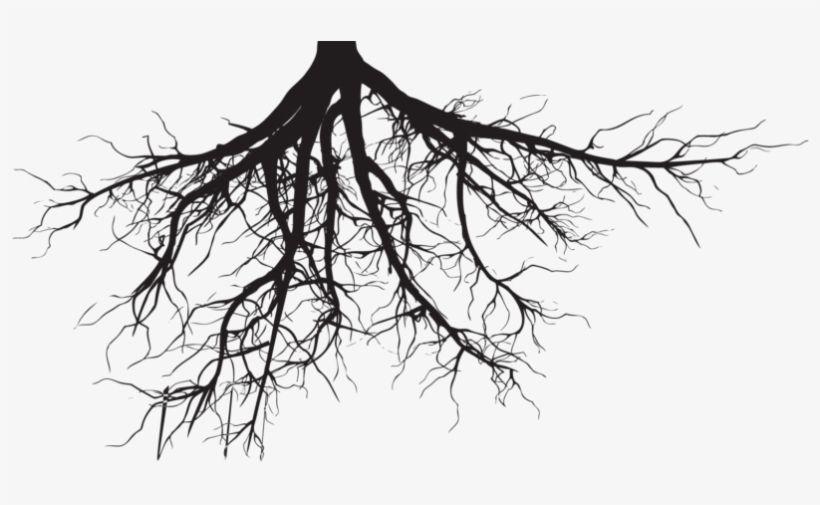 Black and White Tree with Roots Logo - Soil And Roots Png Clipart Black And White Download - Tree Roots ...